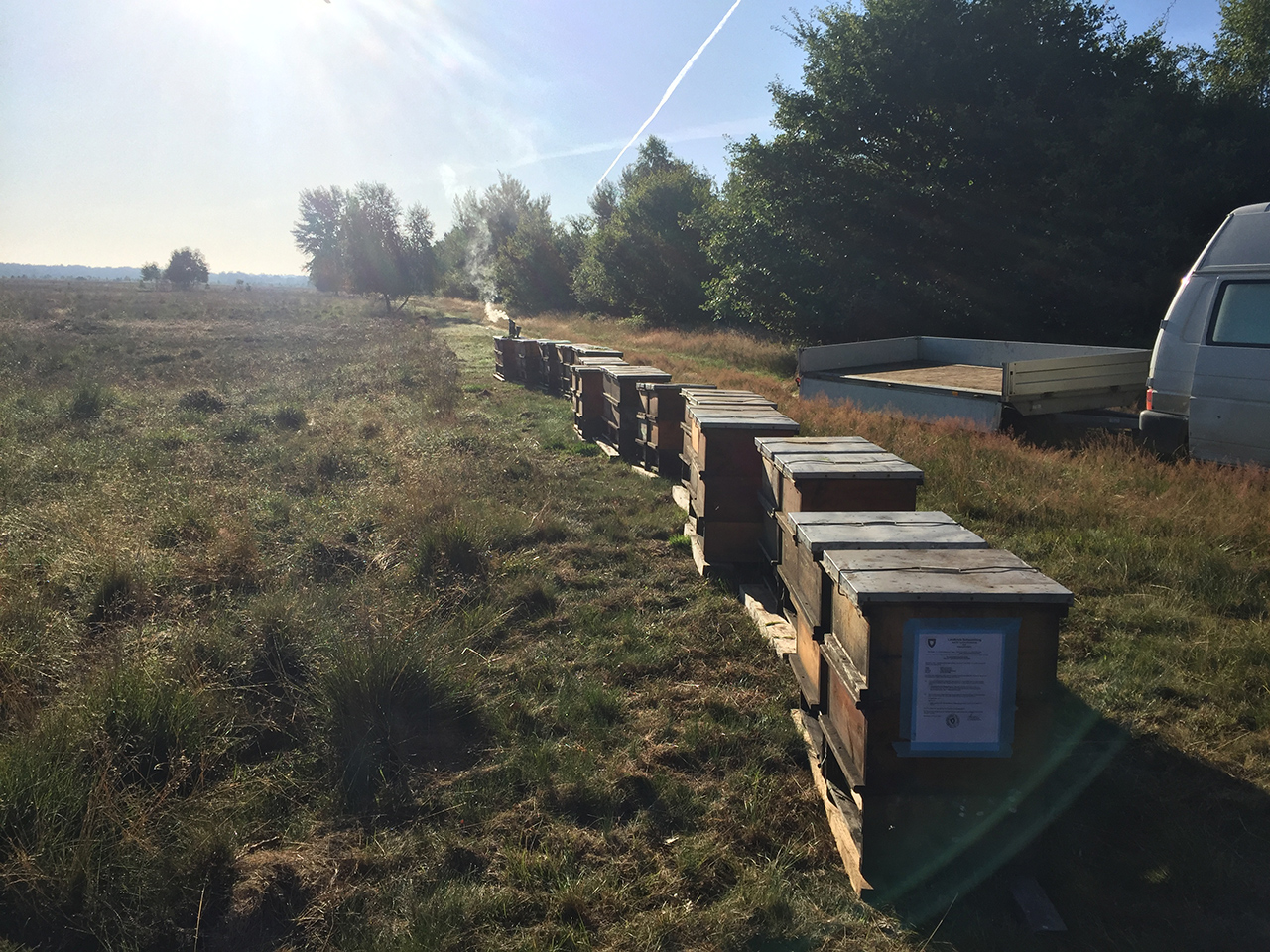 Ein wunderschöner Platz für die Bienen